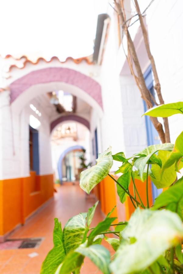 Hostal Zeballos タリハ エクステリア 写真